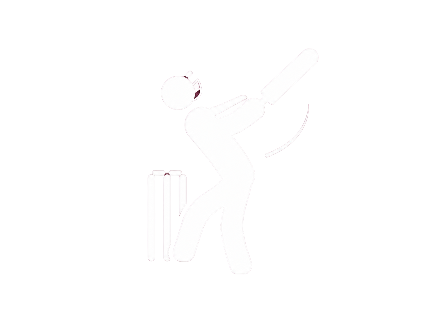 Cricket Fight